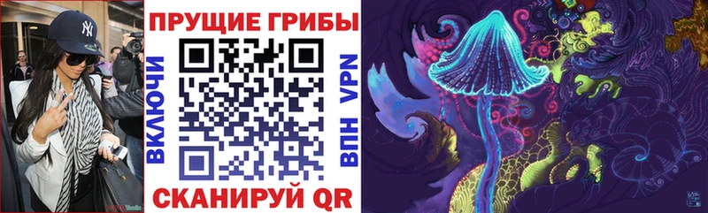 Псилоцибиновые грибы ЛСД  shop официальный сайт  Трёхгорный  как найти  